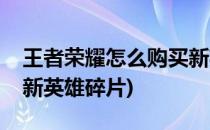 王者荣耀怎么购买新英雄(王者荣耀怎么购买新英雄碎片)