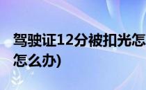 驾驶证12分被扣光怎么办(驾驶证12分扣光了怎么办)