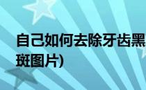 自己如何去除牙齿黑斑(自己如何去除牙齿黑斑图片)