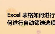 Excel 表格如何进行自动筛选(excel 表格如何进行自动筛选选项)