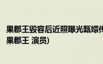 果郡王毁容后近照曝光甄嬛传里的演员都去哪了(甄嬛传里的果郡王 演员)