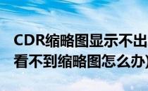 CDR缩略图显示不出怎么显示cdr缩略图(cdr看不到缩略图怎么办)