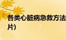 各类心脏病急救方法(各类心脏病急救方法图片)