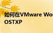 如何在VMware Workstation 10里安装GHOSTXP