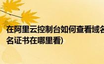 在阿里云控制台如何查看域名证书并下载证书图片(阿里云域名证书在哪里看)