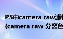 PS中camera raw滤镜中的分离色调如何使用(camera raw 分离色调)