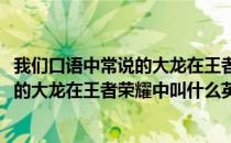 我们口语中常说的大龙在王者荣耀中叫什么(我们口语中常说的大龙在王者荣耀中叫什么英雄)