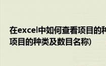 在excel中如何查看项目的种类及数目(在excel中如何查看项目的种类及数目名称)