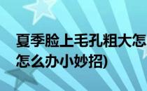 夏季脸上毛孔粗大怎么办(夏季脸上毛孔粗大怎么办小妙招)