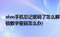 vivo手机忘记密码了怎么解锁(vivo手机忘记密码了怎么解锁数字密码怎么办)