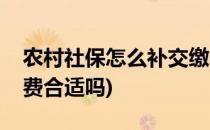 农村社保怎么补交缴费(农村社保怎么补交缴费合适吗)