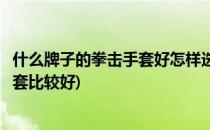 什么牌子的拳击手套好怎样选择拳击手套(什么牌子的拳击手套比较好)