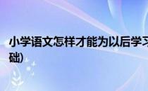 小学语文怎样才能为以后学习打好基础(小学如何打好语文基础)