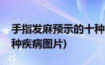 手指发麻预示的十种疾病(手指发麻预示的十种疾病图片)