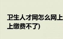 卫生人才网怎么网上缴费(卫生人才网怎么网上缴费不了)