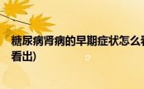 糖尿病肾病的早期症状怎么看?(糖尿病肾病的早期症状怎么看出)