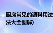 厨房常见的调料用法大全(厨房常见的调料用法大全图解)