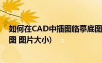 如何在CAD中插图临摹底图 图片(如何在cad中插图临摹底图 图片大小)