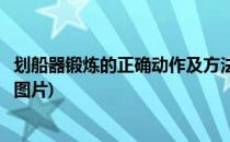 划船器锻炼的正确动作及方法(划船器锻炼的正确动作及方法图片)