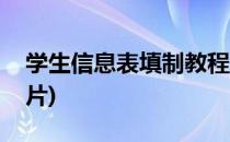 学生信息表填制教程(学生信息表填制教程图片)