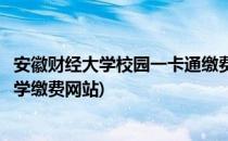 安徽财经大学校园一卡通缴费指南【兔子姑娘】(安徽财经大学缴费网站)