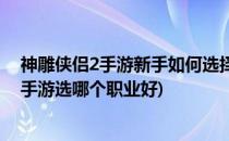 神雕侠侣2手游新手如何选择职业门派选择攻略(神雕侠侣2手游选哪个职业好)