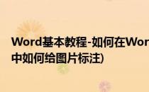 Word基本教程-如何在Word的图片中插入各种标注(word中如何给图片标注)