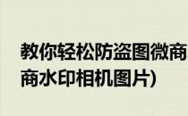 教你轻松防盗图微商水印相机的使用方法(微商水印相机图片)