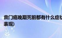 贲门癌晚期死前都有什么症状(贲门癌晚期死前都有什么症状表现)