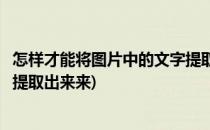 怎样才能将图片中的文字提取出来(怎样才能将图片中的文字提取出来来)