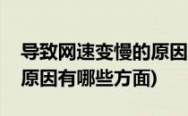 导致网速变慢的原因有哪些(导致网速变慢的原因有哪些方面)