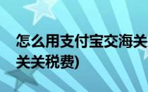 怎么用支付宝交海关关税(怎么用支付宝交海关关税费)