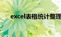 excel表格统计整理(excel表格统计表)