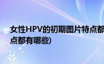 女性HPV的初期图片特点都有哪些(女性hpv的初期图片特点都有哪些)