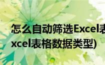 怎么自动筛选Excel表格数据(怎么自动筛选excel表格数据类型)