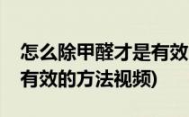 怎么除甲醛才是有效的方法(怎么除甲醛才是有效的方法视频)