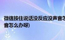 微信按住说话没反应没声音怎么办(微信按住说话没反应没声音怎么办呀)