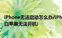 iPhone无法启动怎么办/iPhone启动白苹果怎么办(iPhone白苹果无法开机)