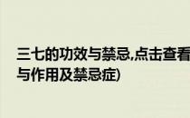 三七的功效与禁忌,点击查看三七的功效与禁忌(三七的功效与作用及禁忌症)