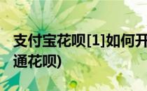 支付宝花呗[1]如何开通(新支付宝花呗怎么开通花呗)