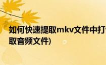 如何快速提取mkv文件中打包的音频文件(从mkv文件中提取音频文件)