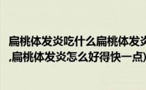 扁桃体发炎吃什么扁桃体发炎怎么好得快(扁桃体发炎吃什么,扁桃体发炎怎么好得快一点)