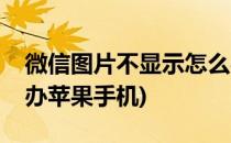 微信图片不显示怎么办(微信图片不显示怎么办苹果手机)