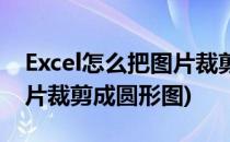 Excel怎么把图片裁剪成圆形(excel怎么把图片裁剪成圆形图)