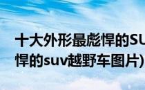 十大外形最彪悍的SUV越野车(十大外形最彪悍的suv越野车图片)