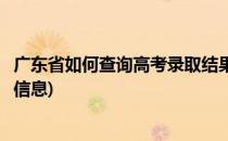 广东省如何查询高考录取结果(广东省如何查询高考录取结果信息)