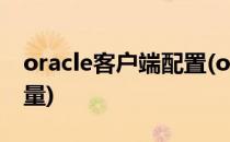 oracle客户端配置(oracle客户端配置环境变量)