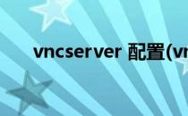 vncserver 配置(vncserver配置文件)