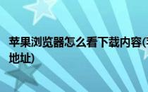 苹果浏览器怎么看下载内容(苹果浏览器怎么看下载内容下载地址)