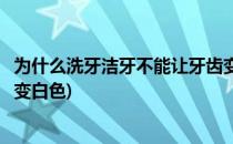 为什么洗牙洁牙不能让牙齿变白(为什么洗牙洁牙不能让牙齿变白色)